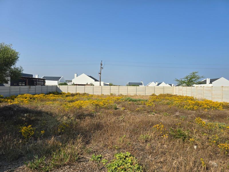 0 Bedroom Property for Sale in Britannia Bay Western Cape